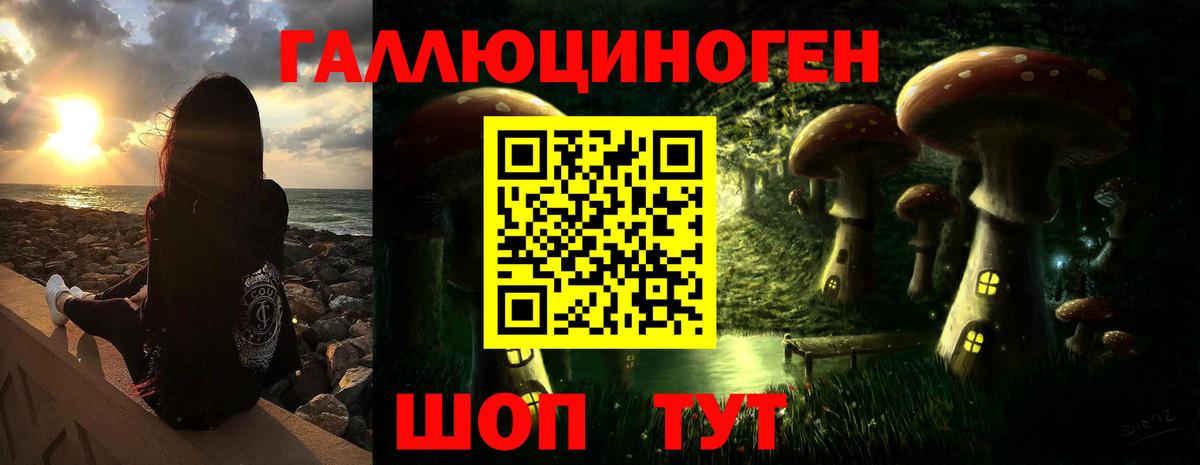 Псилоцибиновые грибы Magic Shrooms  Галлюциногенные грибы Psilocybine cubensis  Уварово  Вход с VPN 